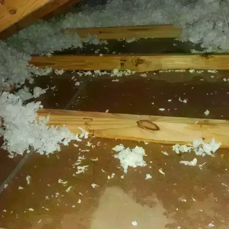 Attic Water Damage in Montague, MA